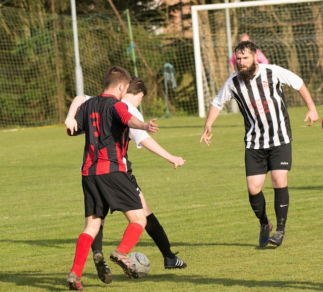 这使得他们 这使得他们