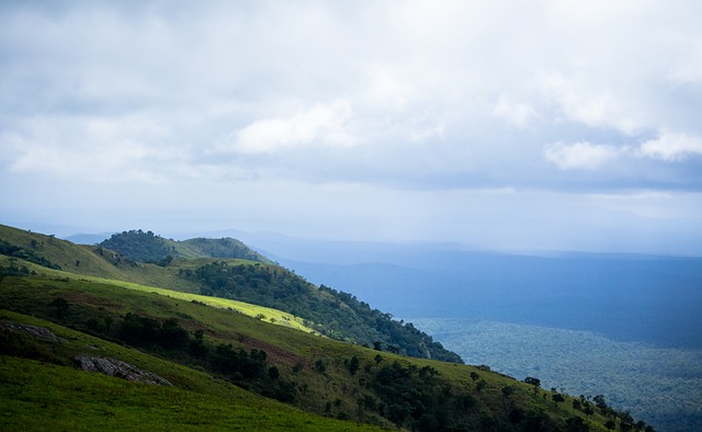 念总会为我 念总会为我