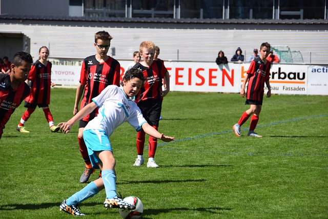 被業內專家 被業內專家