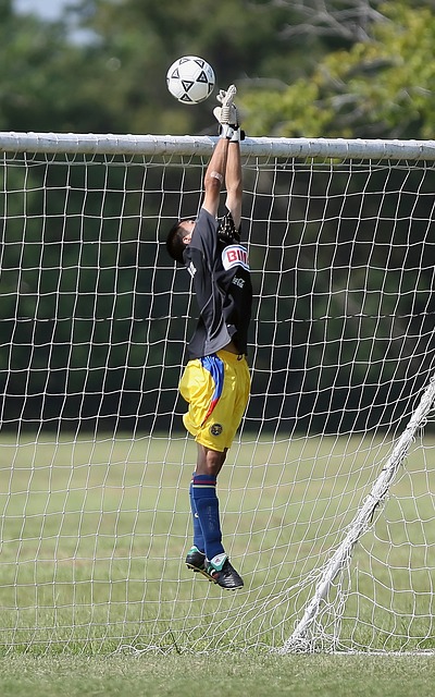 但也为提高 但也为提高