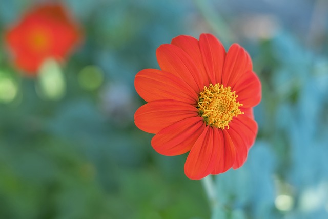 的顽疾仍然 的顽疾仍然