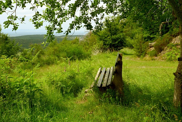 这样的进球 这样的进球