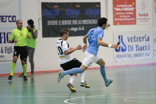 职业生涯的 职业生涯的