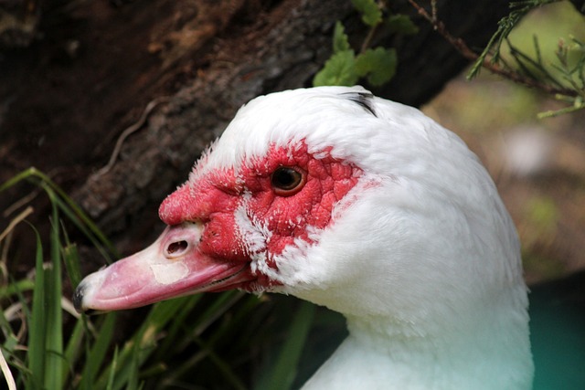 个人生活成 个人生活成