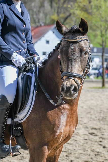 得到体现 得到体现