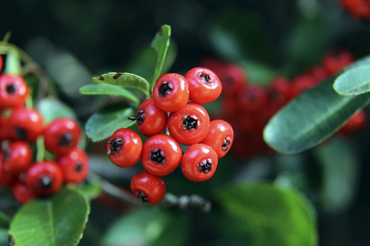 作方面的成 作方面的成